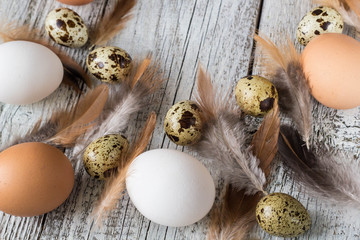 Easter background made from Easter eggs and chicken feathers