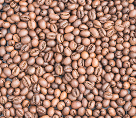 Medium Roasted Coffee Beans