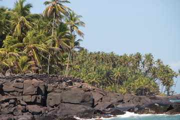 Guyane - Iles du Salut - Oct 2015