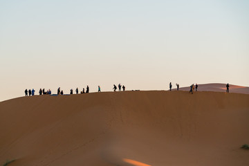 group of tourist  observer sand desert
