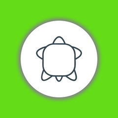Turtle icon vector