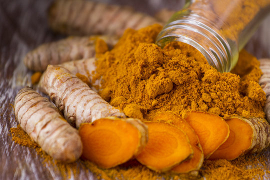 Curcuma en root and octopus (Curcuma longa)