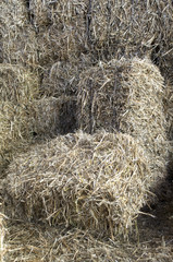 Balers ready from soy for fuel over the cold winter in a small village near Novi Sad, Serbia
