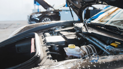 Automobile garage - hood of luxury sport car