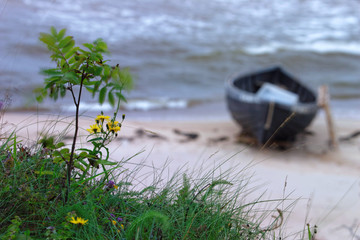 Fishing Boat on the beach