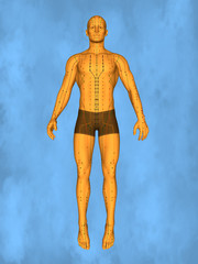 Acupuncture model M-POSE Mylie-01-2, 3D Model