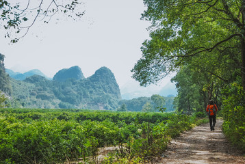 The countryside and mountains scenery  