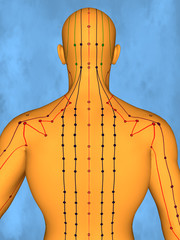 Acupuncture model M-POSE Mylie-01-8, 3D Model