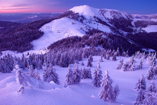 winter forest and mountains Carpathians