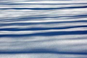 Obraz premium Shadow on snow