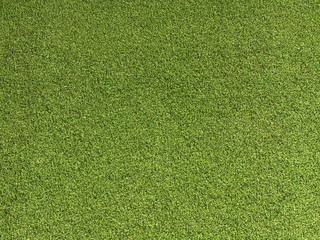 green grass background 3d illustradtion