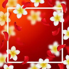  Summer background with tropical flowers and rose petals 