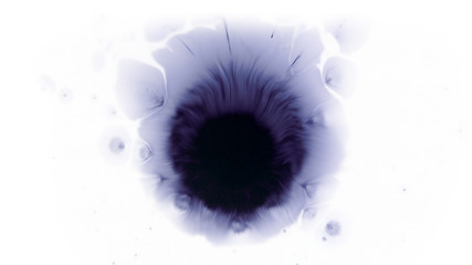 Naklejka premium Beautiful watercolor ink drops on white paper, paint bleed Bloom, with black circle organic flow expanding, splatter spreading on clear background. Perfect for motion graphics, digital composition