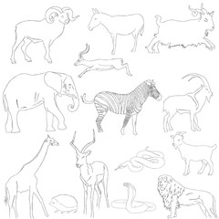 Set of wild animals. Vector sketch illustration