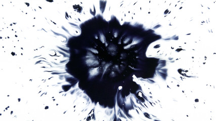 Obraz premium Beautiful watercolor ink drops on white paper, paint bleed Bloom, with black circle organic flow expanding, splatter spreading on clear background. Perfect for motion graphics, digital composition