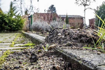 Close up of molehill