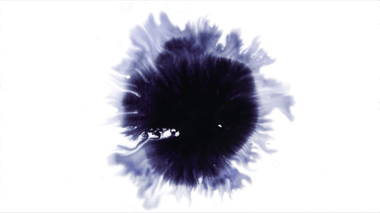 Beautiful watercolor ink drops on white paper, paint bleed Bloom, with black circle organic flow expanding, splatter spreading on clear background. Perfect for motion graphics, digital composition - obrazy, fototapety, plakaty