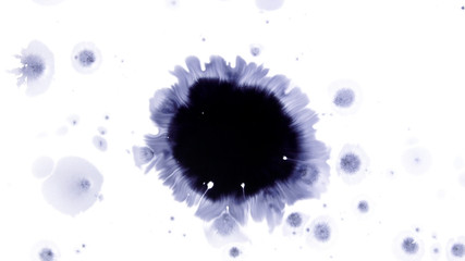 Obraz premium Beautiful watercolor ink drops on white paper, paint bleed Bloom, with black circle organic flow expanding, splatter spreading on clear background. Perfect for motion graphics, digital composition