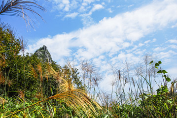 The mountains and countryside scenery with blue sky