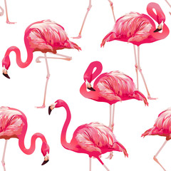 Tropische Vogel Flamingo Achtergrond - Naadloze patroon vector