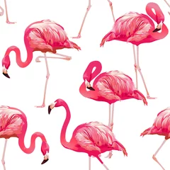 Behang Flamingo Tropische Vogel Flamingo Achtergrond - Naadloze patroon vector