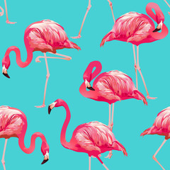 Obraz premium Tropical Bird Flamingo Background - Seamless pattern vector 