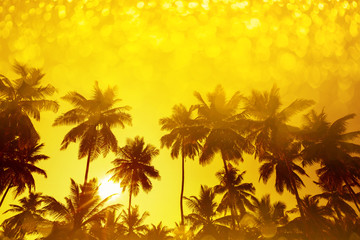 Palm trees silhouettes on tropical beach at summer warm vivid sunset with party shiny glitter overlay effect