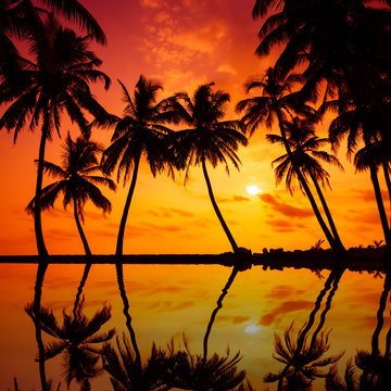 Tropical beach with palm tress silhouettes at vivid sunset with reflection in calm water