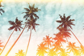 Coconut palm trees on tropical beach vintage nostalgic film color filter stylized and toned