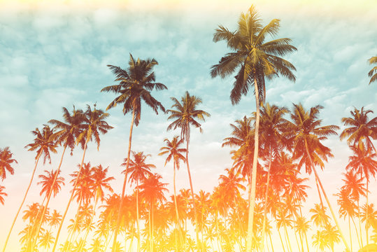 Coconut palm trees on tropical beach vintage nostalgic film flare leak and color filter stylized