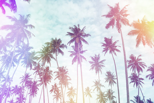Coconut palm trees on tropical beach vintage nostalgic film color filter stylized and toned with light leaks.