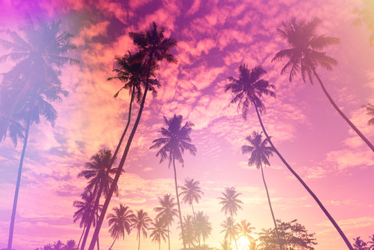 Tropical sunset stylized with vintage film light leaks