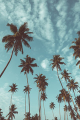 Naklejka premium Coconut palm trees on tropical beach vintage nostalgic film color filter stylized and toned