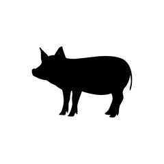 Pork vector design isolated on white background 
