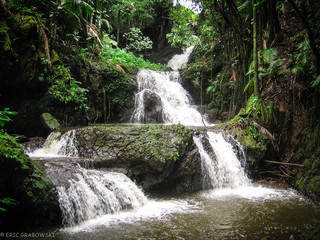 Hawaii