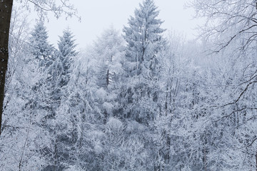 Winter landscape in mountains