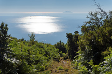 Fototapeta na wymiar montagne caquis de Corse et archipel toscan