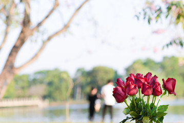 Red roses background with couples.