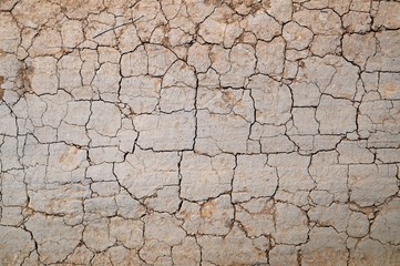Cracked dirt road