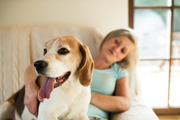 Senior woman with her dog at home relaxing