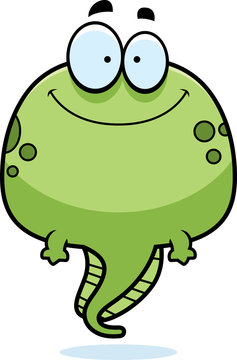 recommend clip art: Smiling Cartoon Tadpole