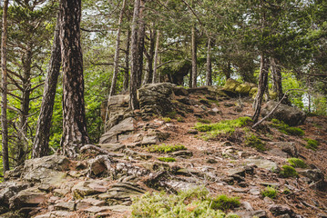 rocks into the forest in a rainy day Alps Italy - outdoor activity into the wild