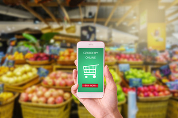 woman hand holding mobile with grocery online on screen with blu