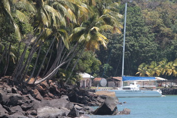 Guyane - Iles du Salut - Oct 2015