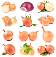 Onions on a white background