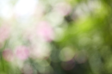 Obraz premium Abstract lights of nature