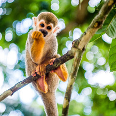 Hanging Out