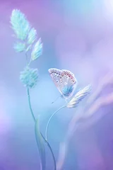 Afwasbaar Fotobehang Vlinder Mooie lichtblauwe vlinder op grassprietje op een zacht lila blauwe achtergrond. Lucht zachte romantische dromerige artistieke afbeelding lente zomer.