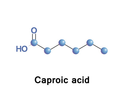 Hexanoic acid or caproic acid is the carboxylic acid derived from hexane with the general formula C5H11COOH. 