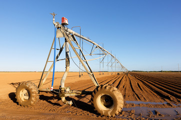 Modern Irrigation System at a Farm Field at Florida in Early Morning Sunlight. Florida ranked seventh in the U.S. for agricultural exports.